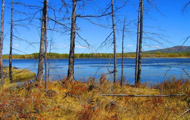 Aershan National Forest Park